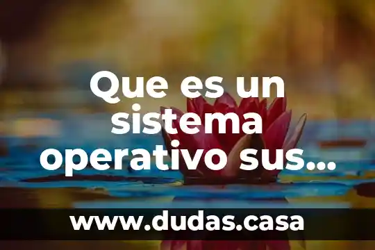 Que es un sistema operativo sus funciones