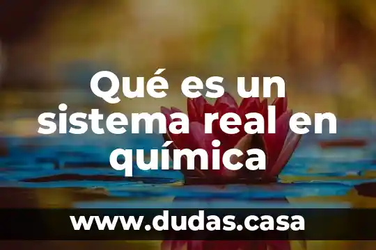 Qué es un sistema real en química