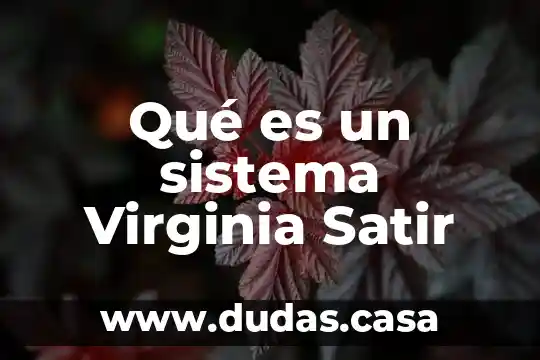 Qué es un sistema Virginia Satir