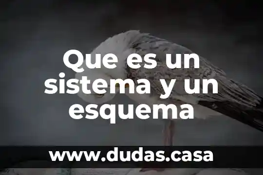 Que es un sistema y un esquema