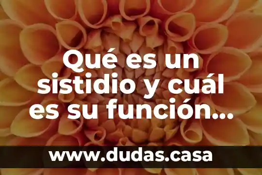 Qué es un sistidio y cuál es su función fúngica