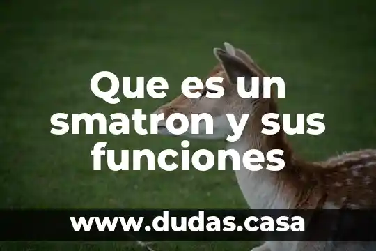 Que es un smatron y sus funciones