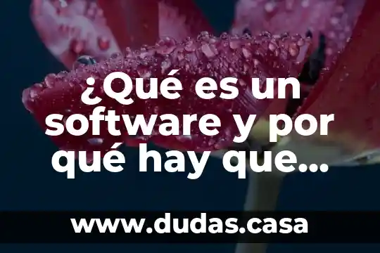 ¿Qué es un software y por qué hay que licenciarlo?