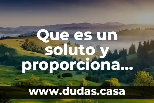 Que es un soluto y proporciona tres ejemplos