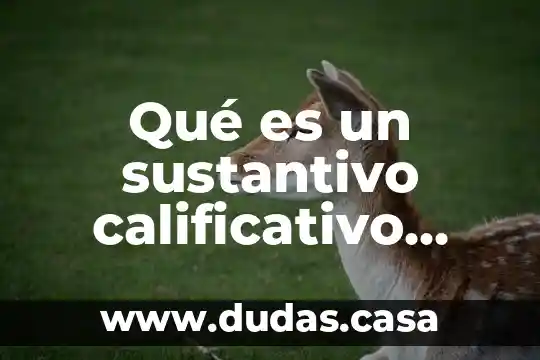 Qué es un sustantivo calificativo ejemplos