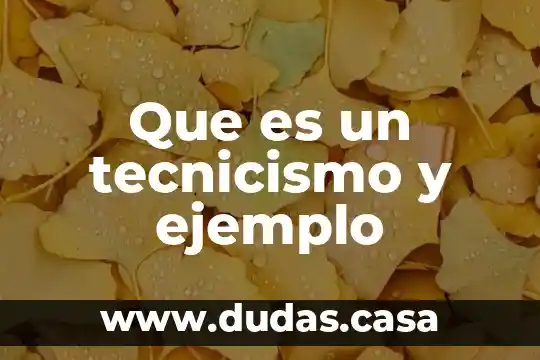 Que es un tecnicismo y ejemplo