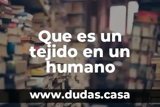 Que es un tejido en un humano