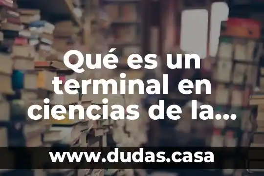 Qué es un terminal en ciencias de la computación