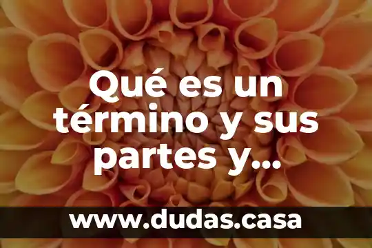 Qué es un término y sus partes y matemáticas