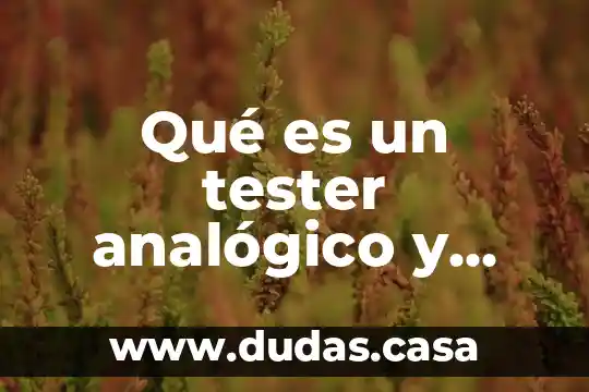 Qué es un tester analógico y digital