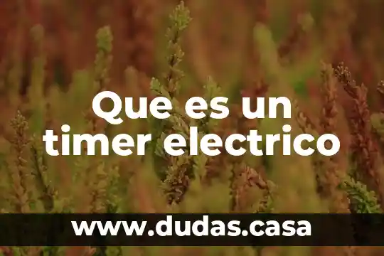 Que es un timer electrico