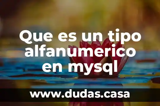 Que es un tipo alfanumerico en mysql
