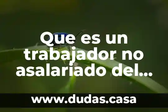 Que es un trabajador no asalariado del ámbito urbano