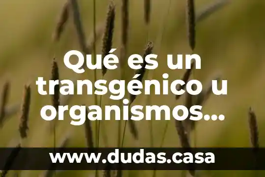 Qué es un transgénico u organismos genéticamente modificados