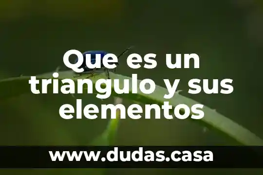 Que es un triangulo y sus elementos