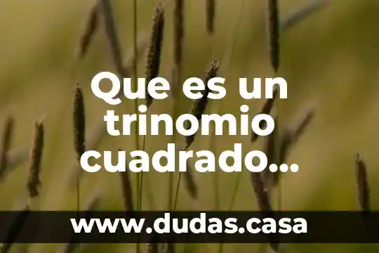 Que es un trinomio cuadrado perfecto dos ejemplos