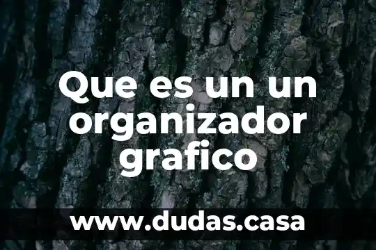 Que es un un organizador grafico