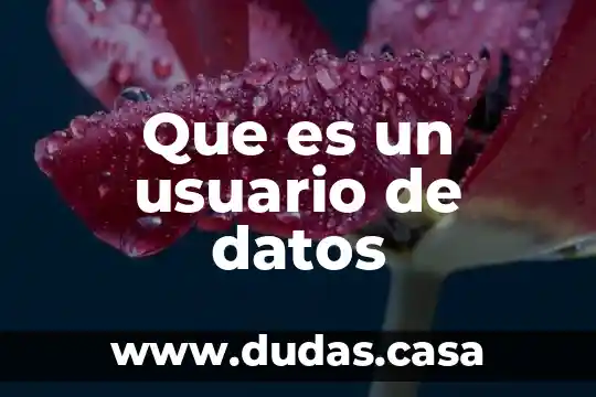 Que es un usuario de datos