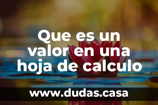 Que es un valor en una hoja de calculo