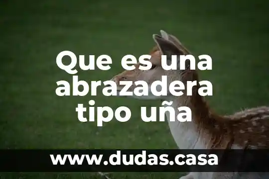 Que es tipo de protrombina 5 Que es una abrazadera tipo uña