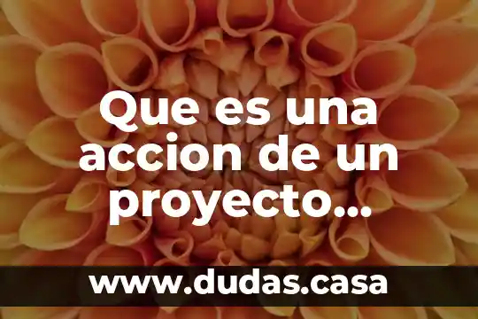 Que es una accion de un proyecto escolar