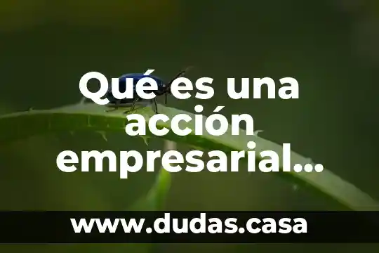 Qué es una acción empresarial formato