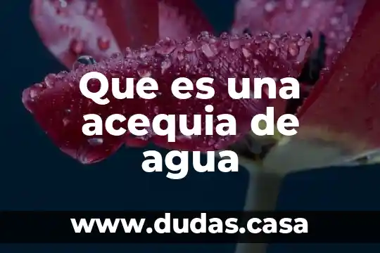 Que es una acequia de agua
