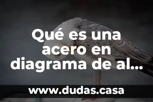 Qué es una acero en diagrama de al carbono