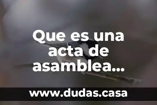 Que es una acta de asamblea ordinaria de accionistas