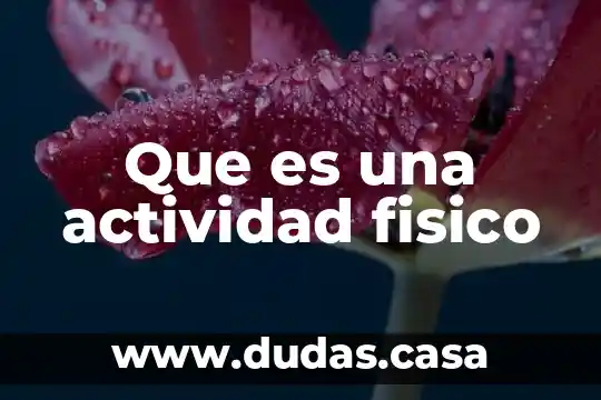 Que es una actividad fisico