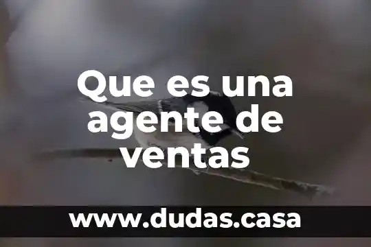 Que es una agente de ventas