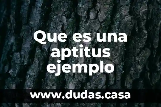 Que es una aptitus ejemplo
