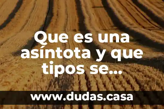 Que es una asíntota y que tipos se conocen