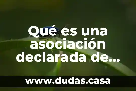 Qué es una asociación declarada de utilidad pública