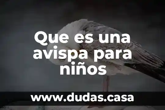 Que es una avispa para niños