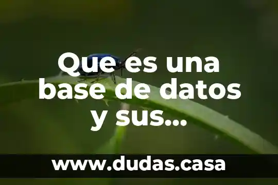Que es una base de datos y sus elementos