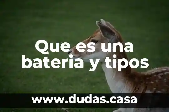 Que es una bateria y tipos