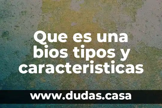 Que es una bios tipos y caracteristicas