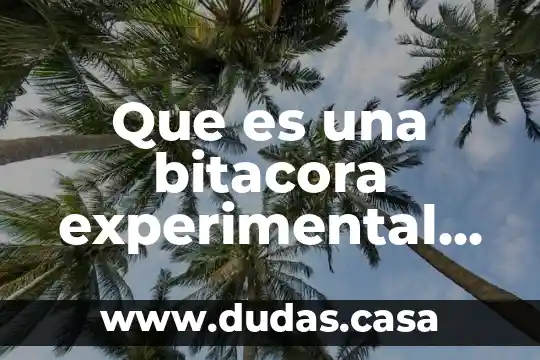 Que es una bitacora experimental con dibujo ejemplo
