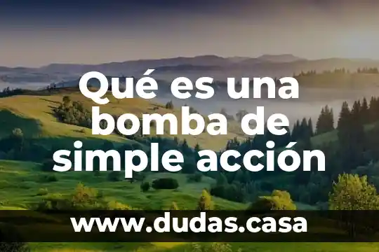 Qué es una bomba de simple acción