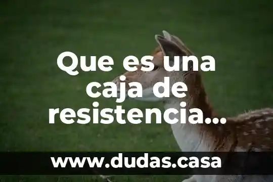 Que es una caja de resistencia electrica