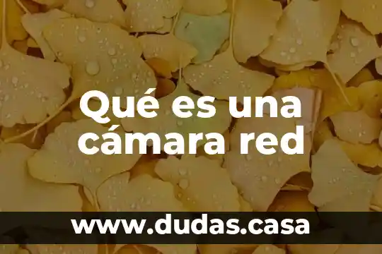 Qué es una cámara red