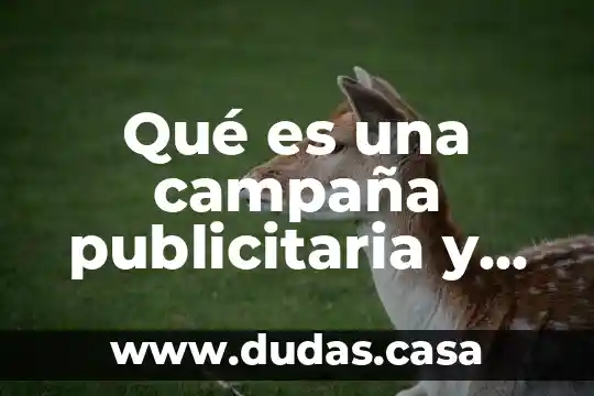 Qué es una campaña publicitaria y cuáles son sus características