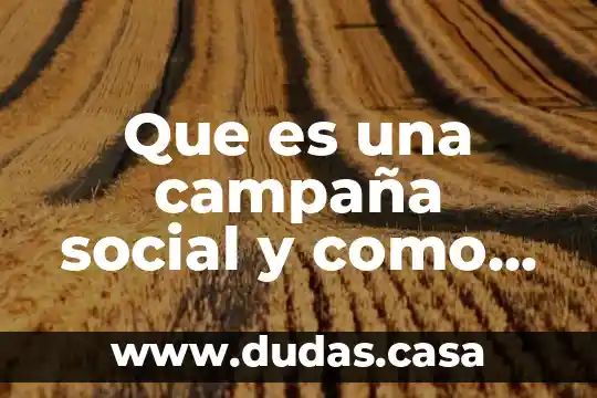 Que es una campaña social y como se realiza