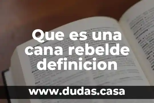 Que es una cana rebelde definicion
