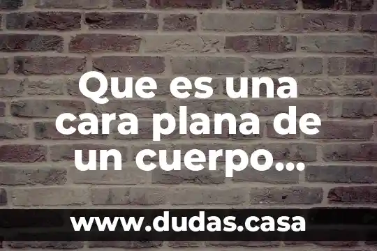 Que es una cara plana de un cuerpo geométrico