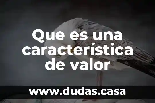 Que es una característica de valor