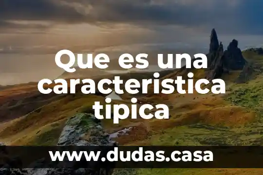 Que es una caracteristica tipica