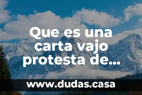 Que es una carta vajo protesta de decir verdad