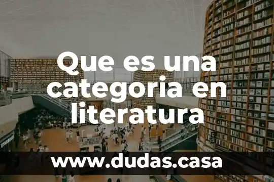 Que es una categoria en literatura